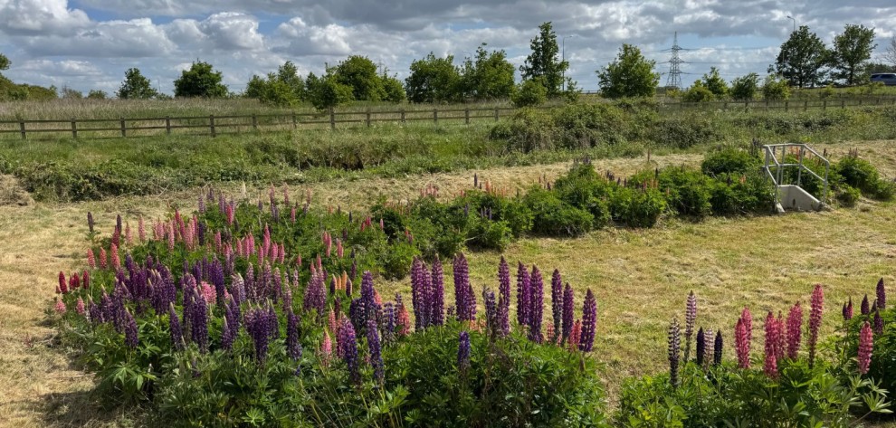 60a44e642c46e56bc61a485af26b5645