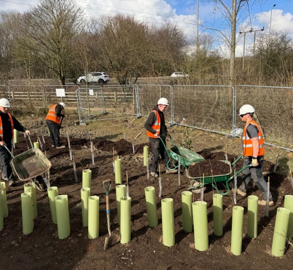 74137baeb590295532d3adafc369383e