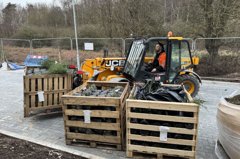 Burger King Mansfield