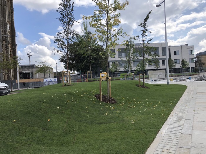 0ace99ee3444dca44a233ec3095c4dcd